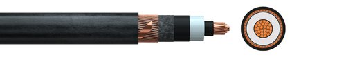Medium voltage cable N2XS2Y